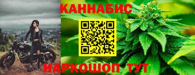 МДПВ Можга