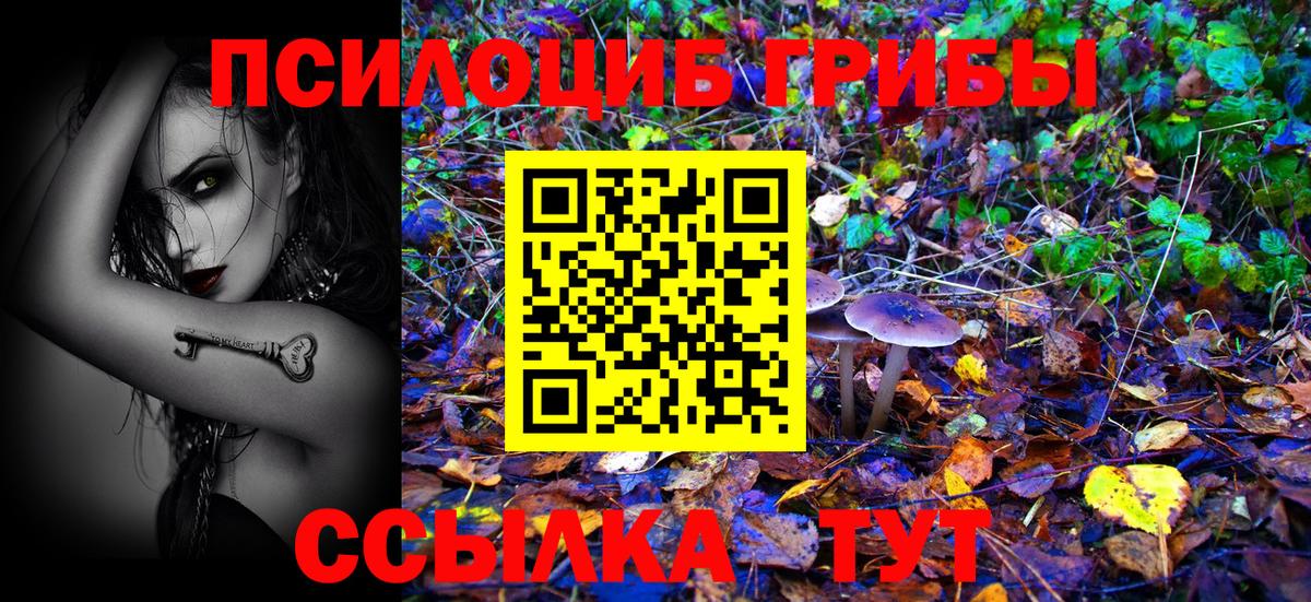 Псилоцибиновые грибы Magic Shrooms  Галлюциногенные грибы Cubensis  Тверь  Вход с VPN 